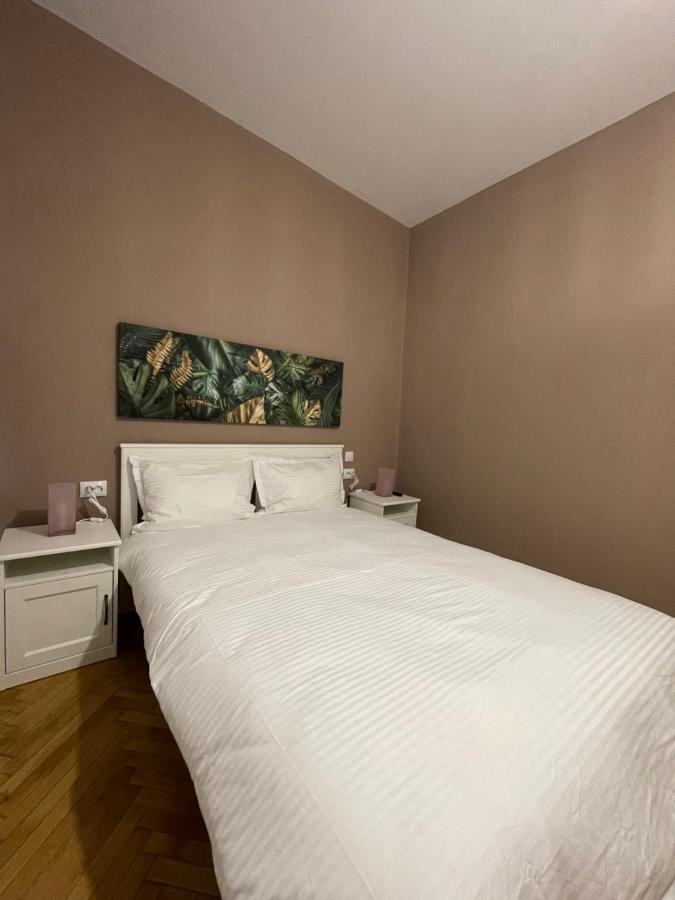Schei Central Studios In The Heart Of Brasov Exterior photo