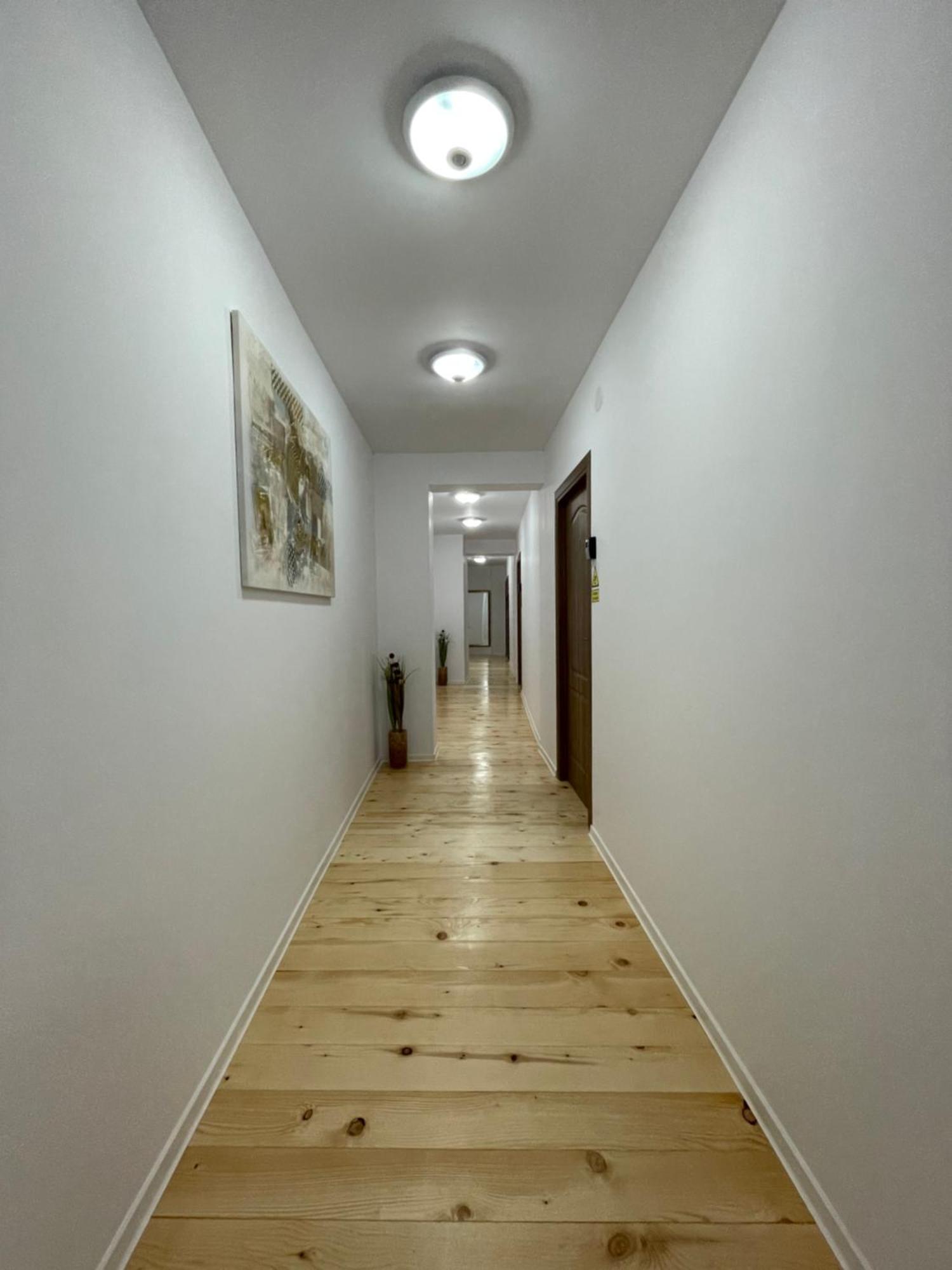 Schei Central Studios In The Heart Of Brasov Exterior photo